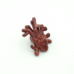 Anatomical Heart